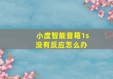 小度智能音箱1s 没有反应怎么办